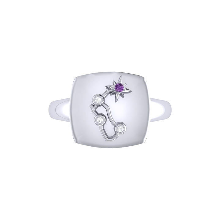 Aquarius Water-Bearer Amethyst & Diamond Constellation Signet Ring in Emerald Raspberry